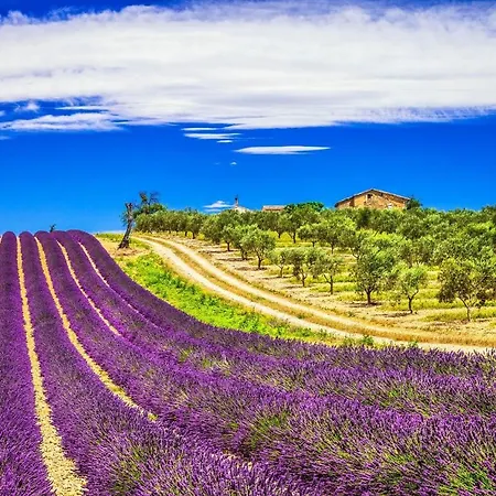La Maison Des Collines Alloggio in famiglia Allemagne-en-Provence